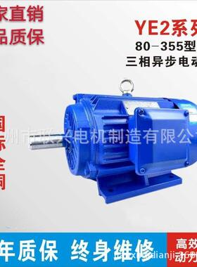 YE2-YE3-0.55W-37/11/15/22/30W6极三相异步电动机铜芯交流马达