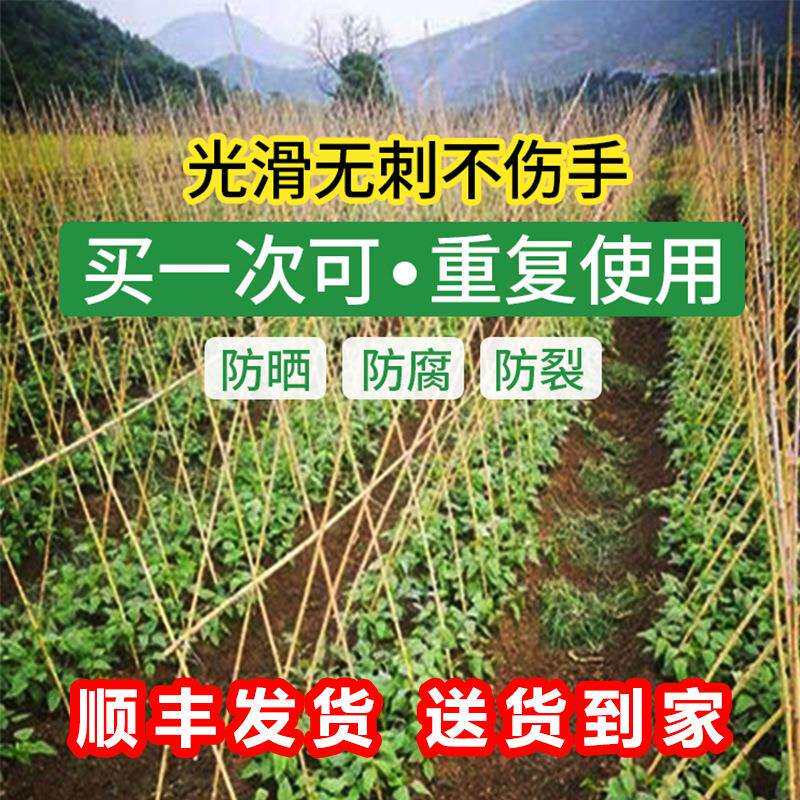 小竹竿菜园搭架细竹子豆角番茄黄瓜葡萄蔬菜爬藤架篱笆栅栏彩旗竿