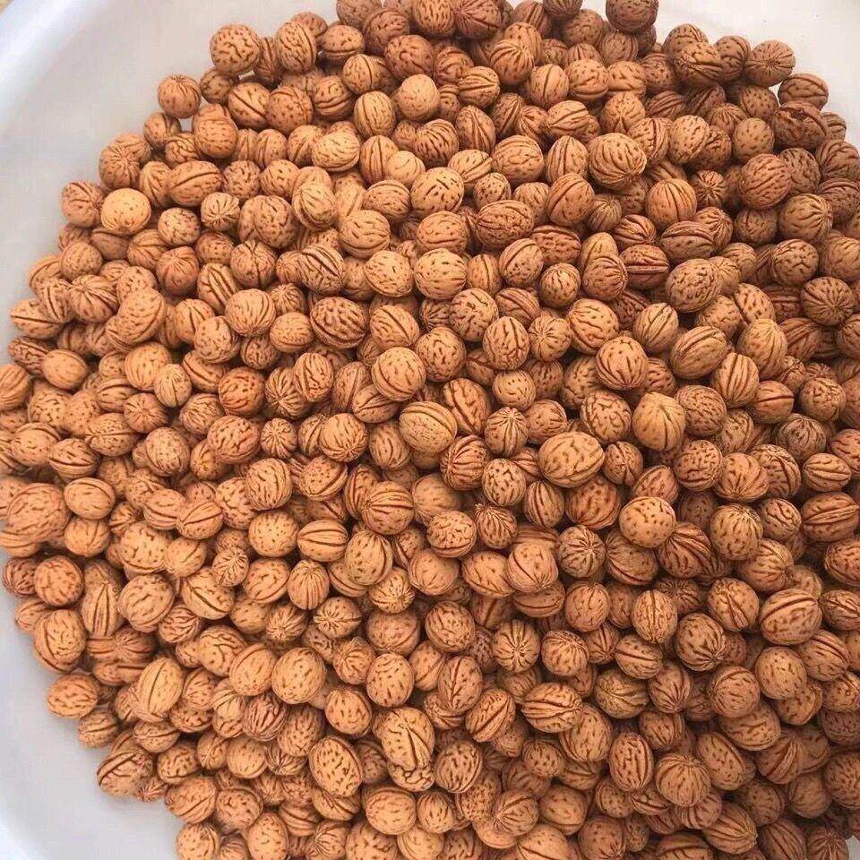 野生小桃核拍打袋专用山核桃健身摔打袋胡桃拍背神器原料疏通经络