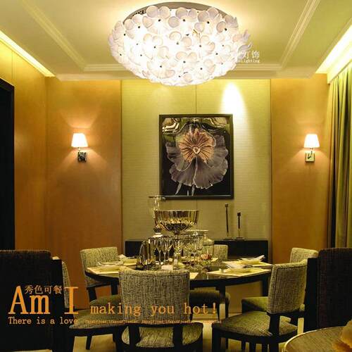 LED温馨浪漫田园客厅吸顶灯 个性创意花朵客厅卧室玻璃花瓣吸顶灯
