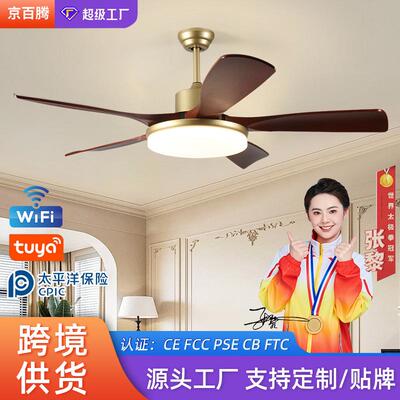 复古客厅风扇灯高级感餐厅吊扇灯变频卧室书房风扇吊灯中山灯具