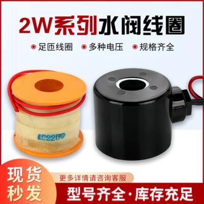 2W电磁阀水阀通用型全铜线圈AC220V DC24V DC12V AC24V AC380V