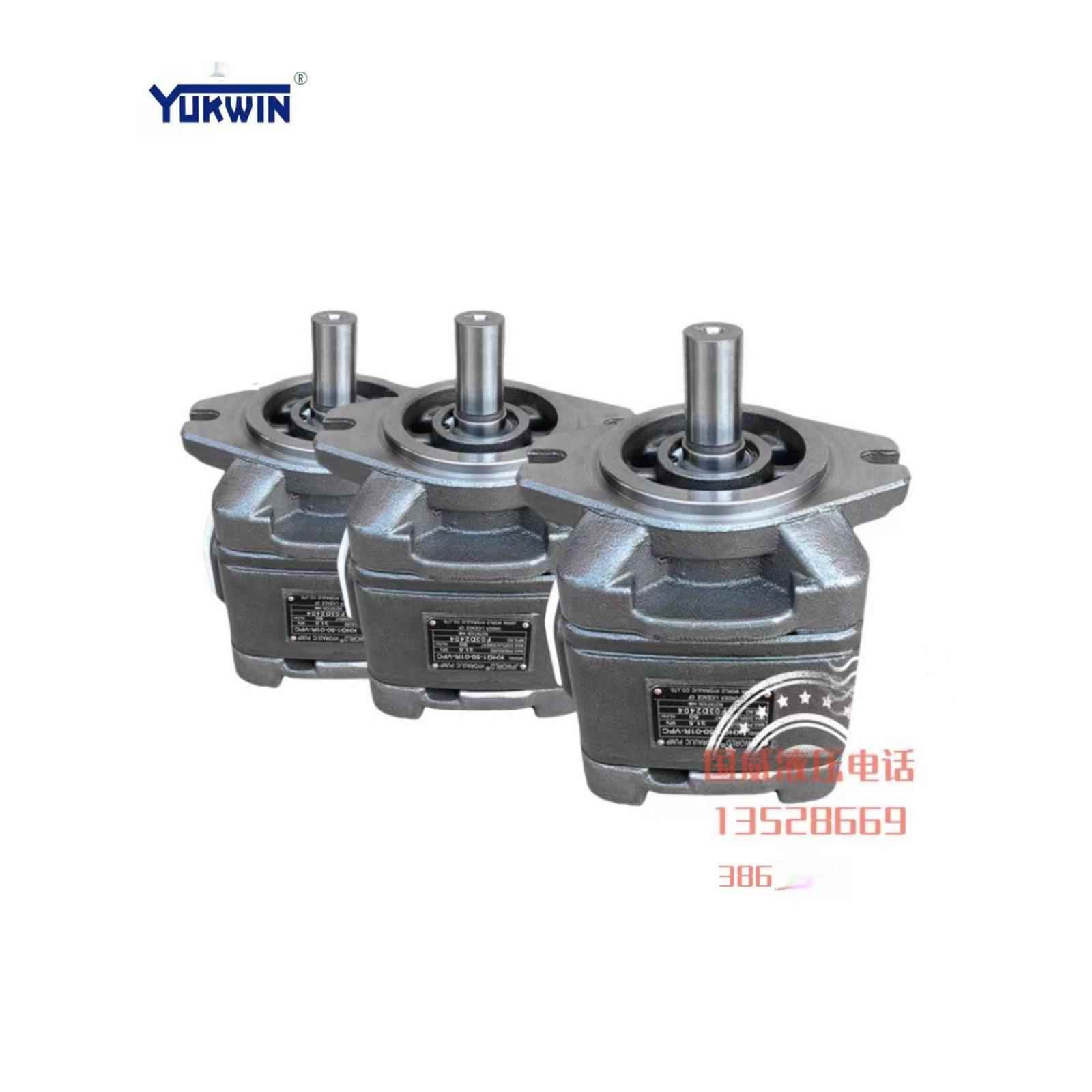 JPWORLD沃特液压泵齿轮泵HG1/HG0/HG2-80/125-01R-VPC佳明机泵