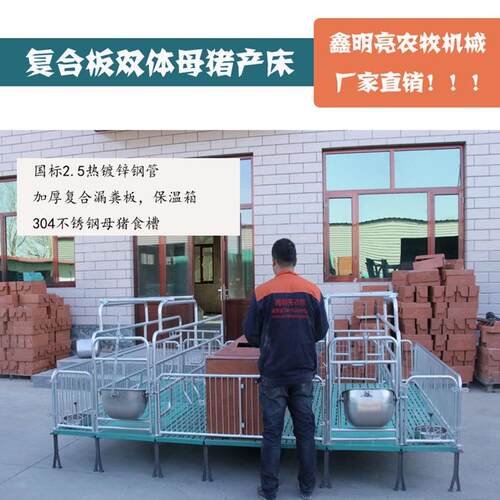 双体复合板镀锌母猪产床养殖设备猪用产床分娩床