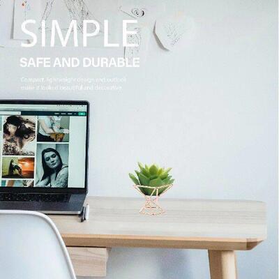 4 pcs Metal Plant Support Display Rack for Air Plants Home