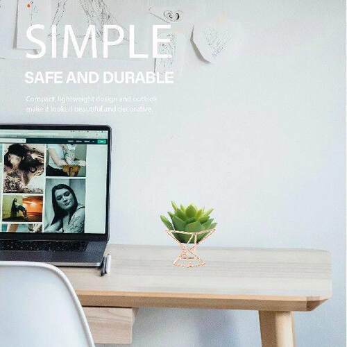 4 pcs Metal Plant Support Display Rack for Air Plants Home