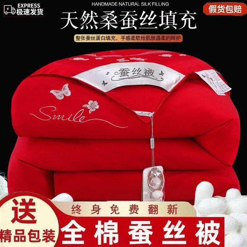正宗桐乡蚕丝被桑蚕丝被子春秋被加厚保暖冬季冬被子亲肤婚庆