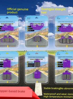 适用极核AE2/AE4/AE5/AE6/AE8/EZ3i/ProCiTY改装升级前后轮刹车片