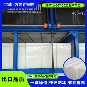 山东宝成大型全自动制冰机直冷式条冰机工业降温蔬菜保鲜制冰机
