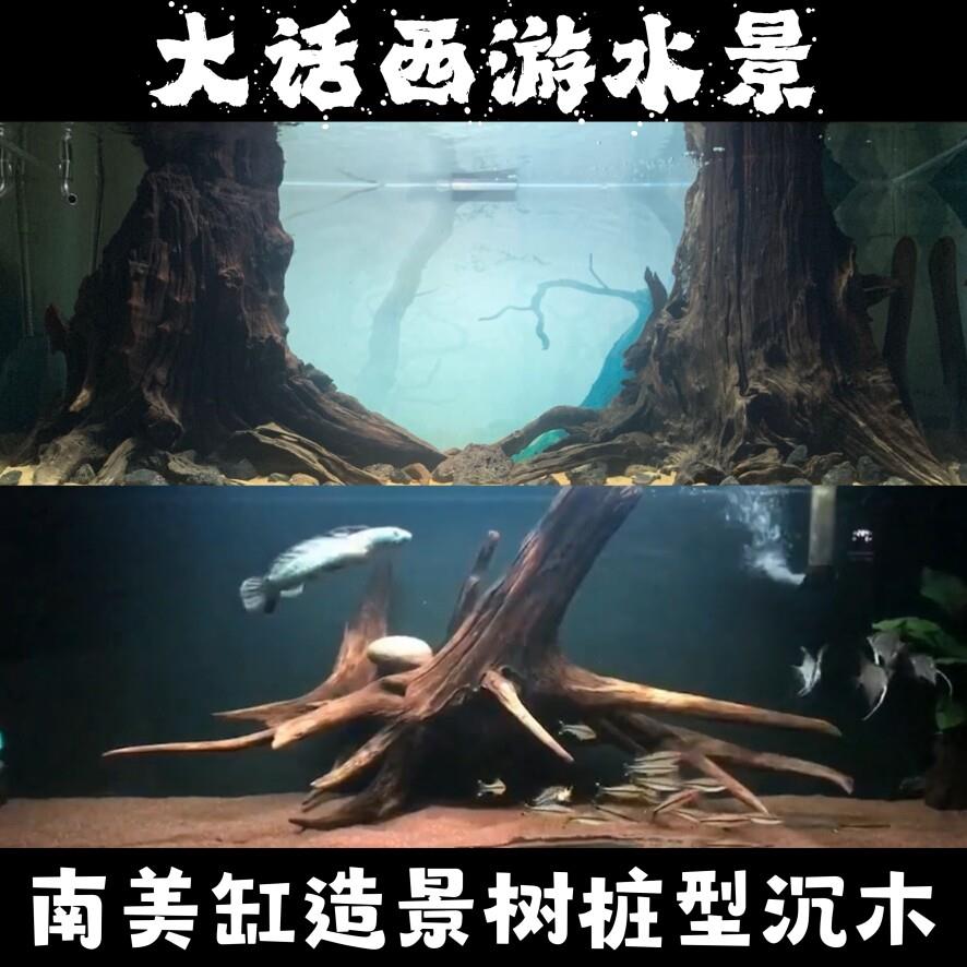 大中型尺寸鱼缸沉木树桩型水族草缸造景南美缸沉木骨架紫柚木