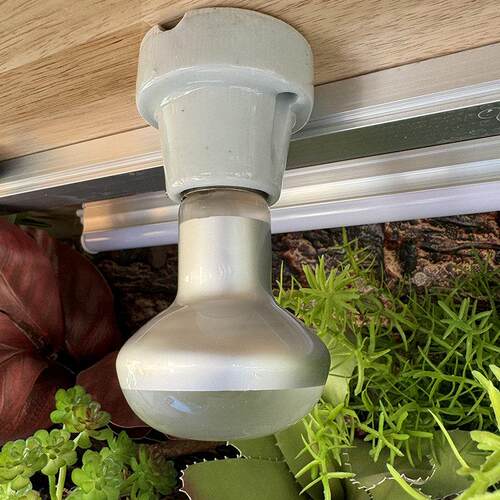 爬虫日灯UVA加热爬宠缸箱鬃狮蜥蜴陆龟刺猬变色龙取暖保温夜间灯
