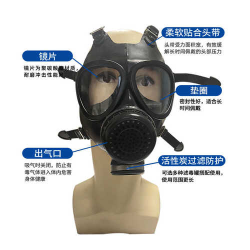 FNJ05A防毒面具06A防生化核污染毒气毒烟喷漆化工生化实验全面罩