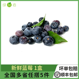 新鲜蓝莓鲜果，1盒现摘美味浆果水果辅食材料，多省任搭5件