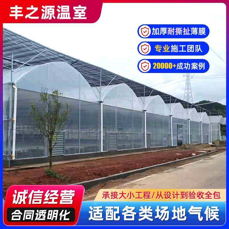 连栋大棚农业养殖花卉采摘蔬菜种植拱形大棚骨架农业连栋温室大棚