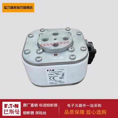 熔断器170M7080 170M7081 170M7082 170M7083 170M7084 170M7085