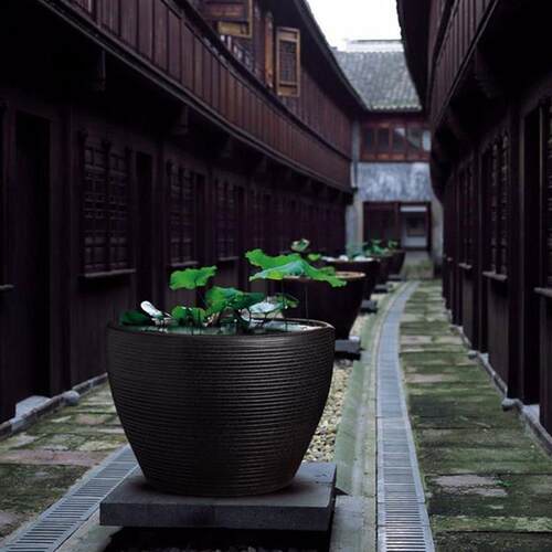 景德镇陶瓷睡莲缸大号陶瓷水缸家用荷花缸盆栽养鱼缸庭院招财大缸