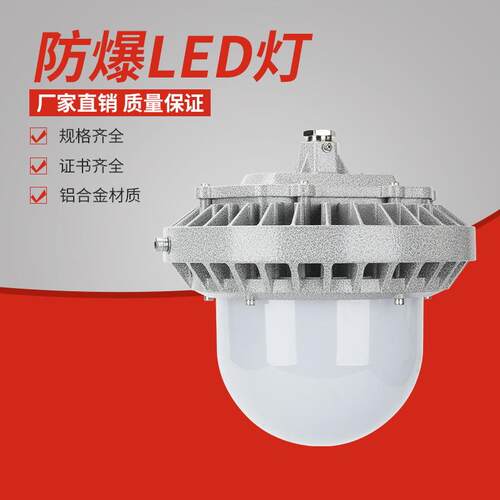 BDL系列免维护防爆投光灯泛光灯50W60W防爆照明灯加油站
