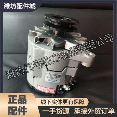 潍柴12M33柴油发动机博杜安船舶用331007000031充电发电机WP-FDJ