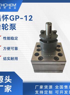 GP12齿轮计量泵蒸馏设备配套齿轮泵分子蒸馏齿轮泵