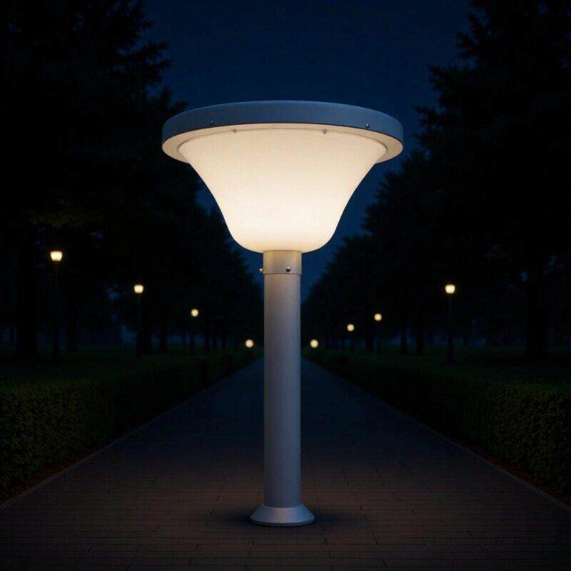 led户外3米防水庭院灯杆景观灯公园别墅小区50W太阳能灯头