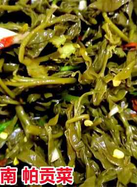 帕贡菜云南特产傣族泡野菜树头菜帕棍菜临沧耿马腌怕控佤族鸡爪菜