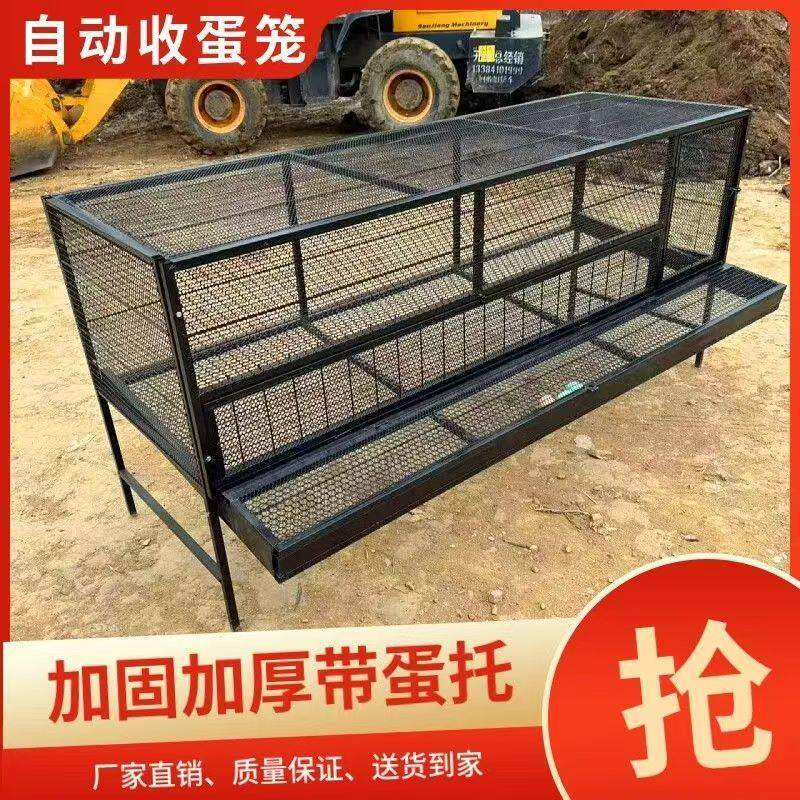 鸡笼子家用室内大号大鸡笼自动清粪防黄鼠狼室外蛋笼专用兔养殖笼