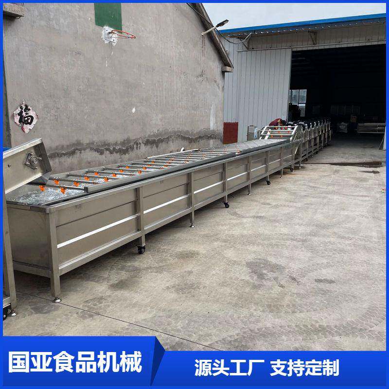 胡萝卜气泡清洗机全自动净蔬设备国亚土豆清洗机厂家直销