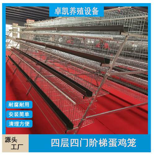 多层鸡笼A型养殖设备简易鸡舍机械可用镀锌阶梯蛋绿槽养鸡喂料