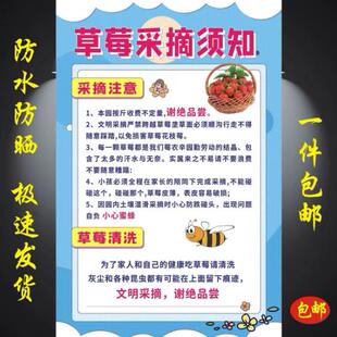 草莓采摘须知海报贴画温馨提示采摘顾客须知顾客须知墙贴墙纸贴墙