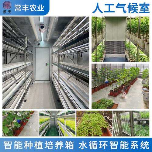 聚氨酯板人工气候室实验室液晶显示光照加湿人工气候箱室立式设备