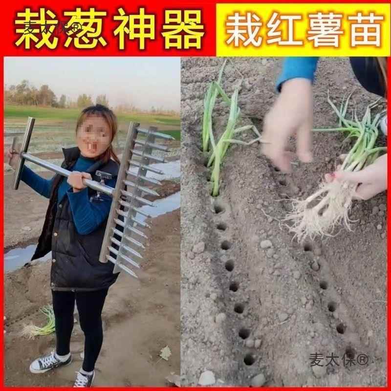 种KNU大蒜苗种植播种机打孔器小菜型移种栽葱葱工具洋葱机器葱麦