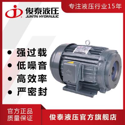 厂家生产三相液压电机15HP11KWAEEH-160M-4油泵用电机