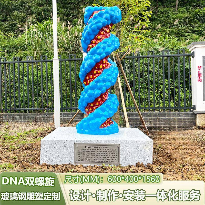 DNA双螺旋结构模型带底座校园生物园教学仪器科普教具玻璃钢雕塑