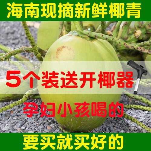 海南现摘现发新鲜大嫩椰青4个装5个装