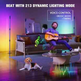 立卧室式 GB氛围灯 地灯极简313R墙落角灯客厅轻奢落地台灯对插款