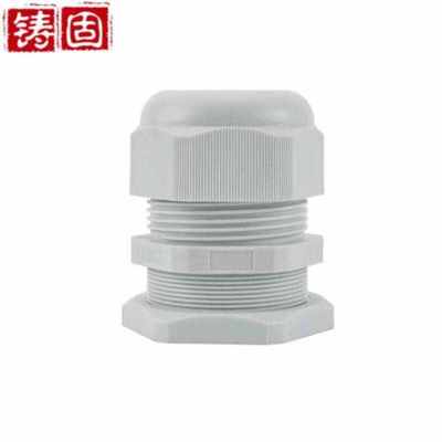铸固PG尼龙塑料防水接头电线电缆密封固定葛格兰头连接器PG21白色
