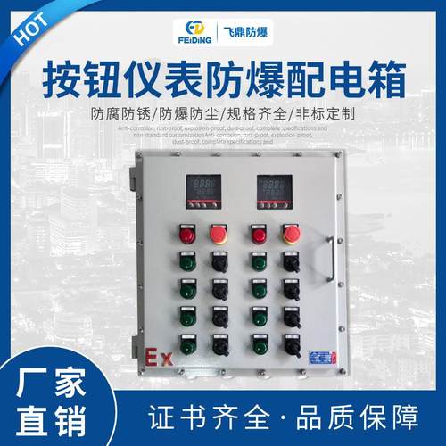 热销 防爆仪表控制箱 按钮仪表防爆配电箱 电源按钮控制箱