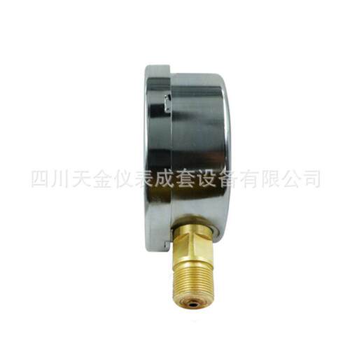 【大成】不锈钢压力表YN-100水压液压表耐震充油款气压表2.5MPA