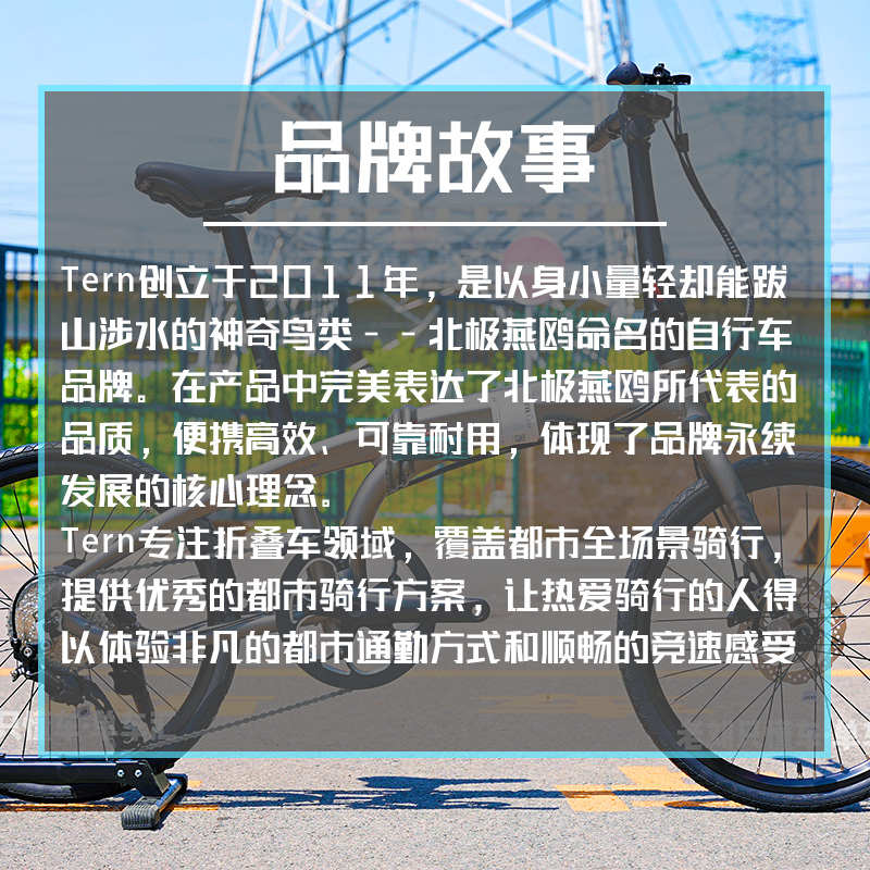Tern燕鸥D9便携折叠自行车铝合金车架油压碟刹山地车轻便通勤竞速