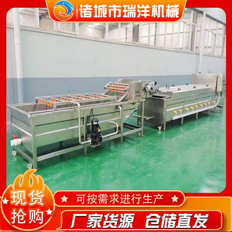 荠菜清洗设备全自动蔬菜气泡清洗机喷淋式草莓蓝莓果蔬清洗机