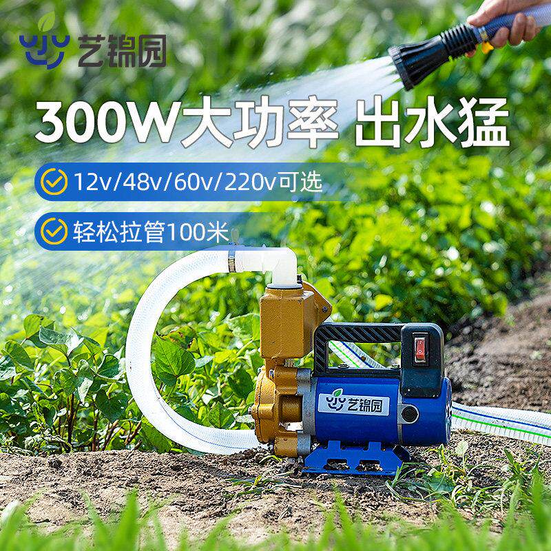 浇菜神器农用水灌溉抽水机2V4自吸泵8V2201V功率自吸泵家用抽泵浇