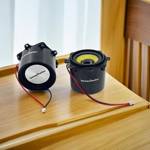 2英寸4欧姆10W高功率Ip68防水低音炮腔箱扬声器DIY无源小扬声器