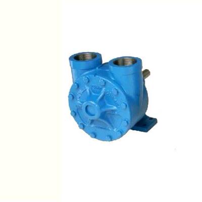 Tuthill 泰悉尔 # 2LEV-C-A-7-88494 齿轮泵，带脚 Viton 铸铁泵