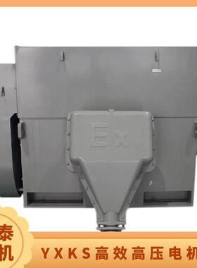 鸿泰压三相异步电机 YXKS4005-8 355KW 6KV 采用优化的电磁设计