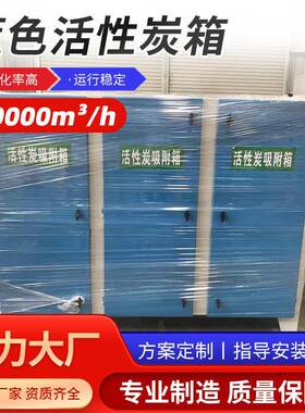 蓝色活性炭吸附箱 工业车间废气吸附装置漆雾净化环保设备