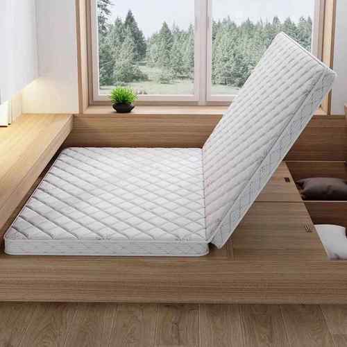 智世壮咎#6恒电热床热垫榻榻米垫子加垫家用电温加能热椰棕炕垫