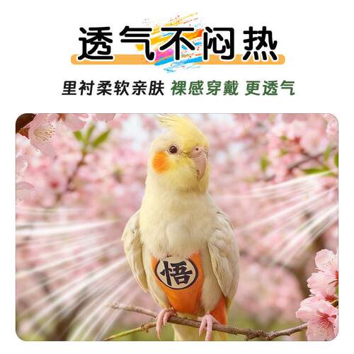 虎皮玄凤牡丹鹦鹉屎兜尿不湿纸尿裤便兜立体粪兜鸟跨境发