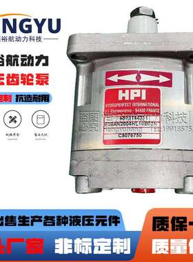 HPI齿轮泵P3BAN2004HL10B02M5BAN2010BL20C02P3BAN1003CL液压泵