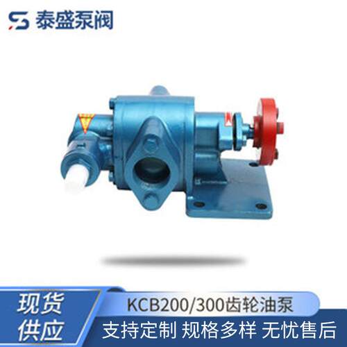 沧州供应KCB200/300齿轮油泵量大价优活动化工高压润滑油输送泵