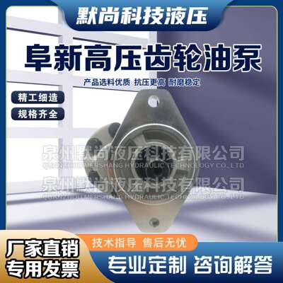 阜新液压高压齿轮油泵 CBF-E10P E16P E18P E25P E32P E40P X ALP
